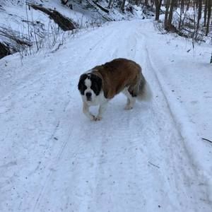 Meet your Posher, Annie